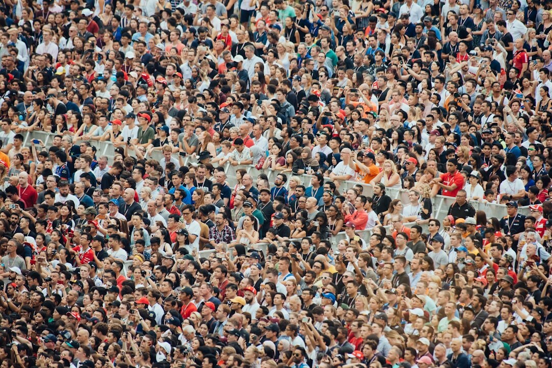 crowd at concert